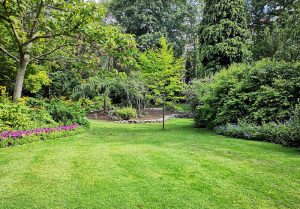 Optimiser l'expérience du jardin à La Batie-Rolland